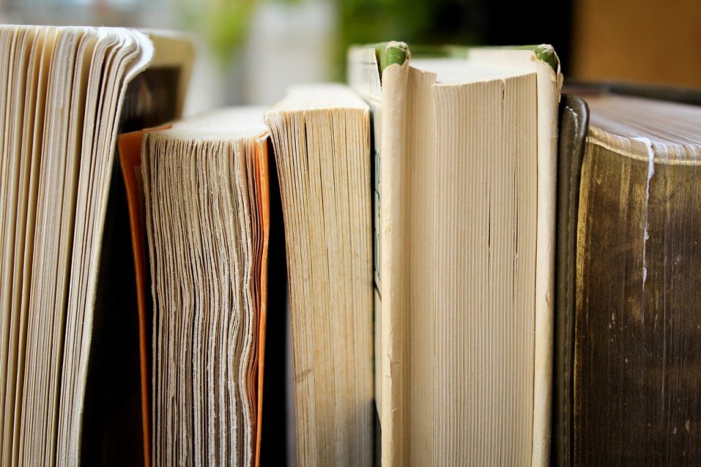 livres rangés dans une bibliothèque